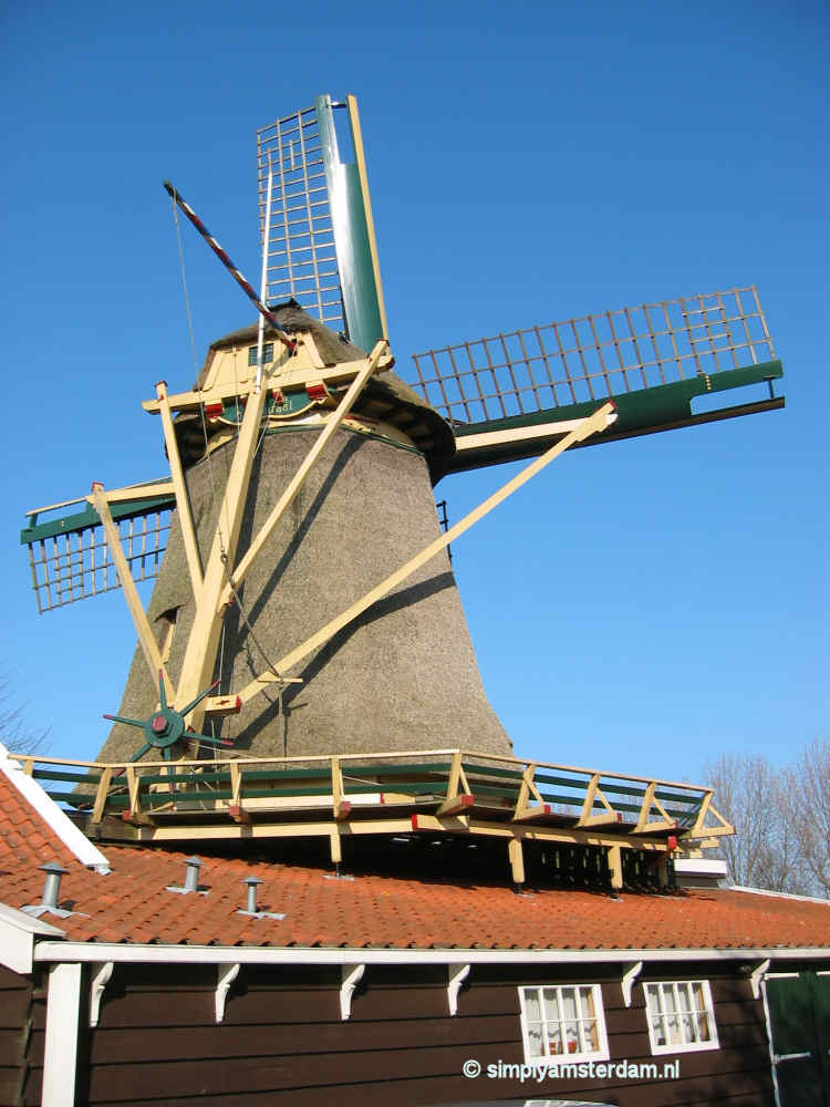 Windmill d