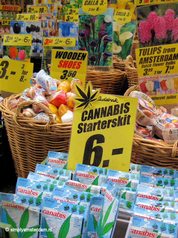 CNN: marihuana entrepreneur moves from Amsterdam to.... the US