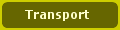 Amsterdam public transport, buses, trams, trains, metro, airport, bicycles, cars